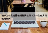 骗子为什么选择蝙蝠聊天软件（为什么有人用蝙蝠聊天）