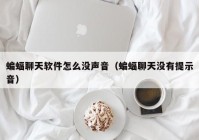 蝙蝠聊天软件怎么没声音（蝙蝠聊天没有提示音）