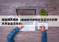 蝙蝠聊天删除（蝙蝠聊天删除好友后对方的聊天界面是怎样的）