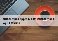 蝙蝠加密聊天app怎么下载（蝙蝠加密聊天app下载259）