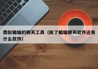 类似蝙蝠的聊天工具（除了蝙蝠聊天软件还有什么软件）