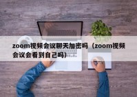 zoom视频会议聊天加密吗（zoom视频会议会看到自己吗）