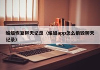 蝙蝠恢复聊天记录（蝙蝠app怎么销毁聊天记录）