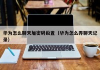 华为怎么聊天加密码设置（华为怎么弄聊天记录）