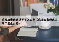 鸣潮加密通讯过不了怎么办（鸣潮加密通讯过不了怎么办呢）