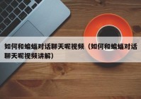 如何和蝙蝠对话聊天呢视频（如何和蝙蝠对话聊天呢视频讲解）