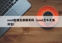 soul能够无痕聊天吗（soul怎么无痕浏览）