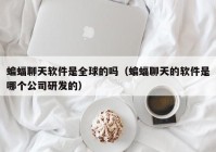 蝙蝠聊天软件是全球的吗（蝙蝠聊天的软件是哪个公司研发的）