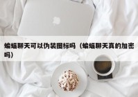 蝙蝠聊天可以伪装图标吗（蝙蝠聊天真的加密吗）