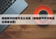 蝙蝠聊天的暗号怎么设置（蝙蝠聊天软件暗语在哪里设置）