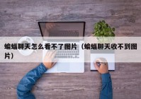 蝙蝠聊天怎么看不了图片（蝙蝠聊天收不到图片）