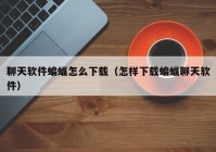 聊天软件蝙蝠怎么下载（怎样下载蝙蝠聊天软件）