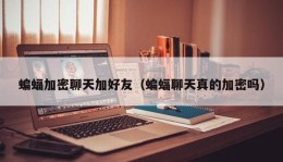蝙蝠加密聊天加好友（蝙蝠聊天真的加密吗）