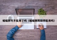 蝙蝠聊天不能用了吗（蝙蝠聊天软件能用吗）