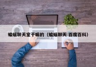 蝙蝠聊天室干嘛的（蝙蝠聊天 百度百科）