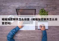 蝙蝠加密聊天怎么设置（蝙蝠加密聊天怎么设置密码）