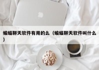 蝙蝠聊天软件有用的么（蝙蝠聊天软件叫什么）