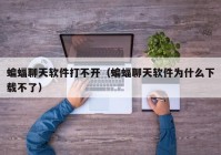 蝙蝠聊天软件打不开（蝙蝠聊天软件为什么下载不了）